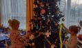 IMG-20211203-WA0006
