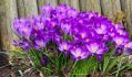 WhatsApp Image 2025-03-07 at 11.29.45 (3)
