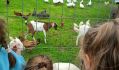 WhatsApp Image 2025-06-10 at 20.03.40(4)