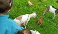 WhatsApp Image 2025-06-10 at 20.03.40(3)