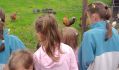 WhatsApp Image 2025-06-10 at 20.03.40(2)
